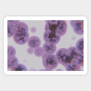 3D Render Of Cells And Biological Tissues Sticker